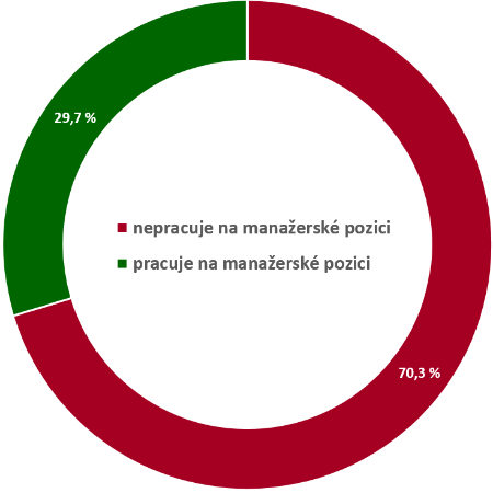 _uplatnitelnost_manazer _uplatnitelnost_manazer